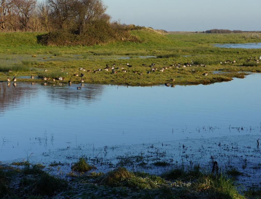 B&B Les Oiseaux De Passage Isigny-sur-Mer Kültér fotó